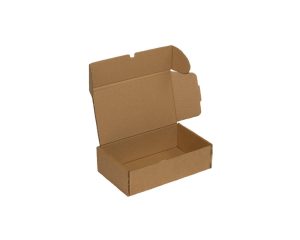 ÆSKE 290X175X85MM 1-LAGS 600204