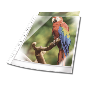 Plastlomme til ringbind premium med farvet kant a4 glasklar pp pose med 10Transparent, hullet plastlomme af høj kvalitet. Glasklar med forstærket universalhul Plastlomme til ringbind premium med farvet kant a4 glasklar pp pose med 10Transparent, hullet plastlomme af høj kvalitet. Glasklar med forstærket universalhul