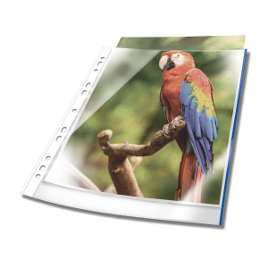 Plastlomme til ringbind premium med farvet kant a4 glasklar pp pose med 25Transparent, hullet plastlomme af høj kvalitet. Glasklar med forstærket universalhul Plastlomme til ringbind premium med farvet kant a4 glasklar pp pose med 25Transparent, hullet plastlomme af høj kvalitet. Glasklar med forstærket universalhul
