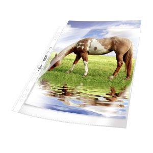 Plastlomme til ringbind premium a4 glasklar pp pose med 50Glasklar plastlomme med universalhul i premium kvalitet. Med forstærkede huller. Plastlomme til ringbind premium a4 glasklar pp pose med 50Glasklar plastlomme med universalhul i premium kvalitet. Med forstærkede huller.
