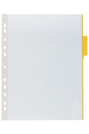 Function panel a4Lomme til register-/display-/oversigt-systemer der har konsoller med pin på konsollen (alle DURABLE oversigtsystem). Function panel a4Lomme til register-/display-/oversigt-systemer der har konsoller med pin på konsollen (alle DURABLE oversigtsystem).