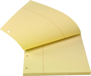 KONCEPTBLOK A4 LIN. M/MARGIN GUL