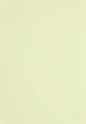 A4 110 g Brevpapir 50-pakke Lime