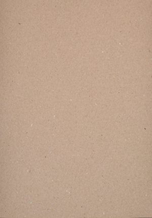 A4 110 g Brevpapir 50-pakke Natur