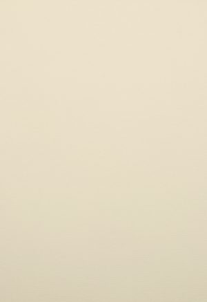 A4 220 g Karton 50-pakke Elfenben