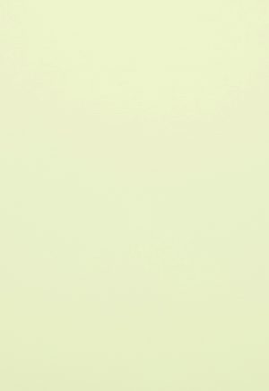 A4 220 g Karton 50-pakke Lime