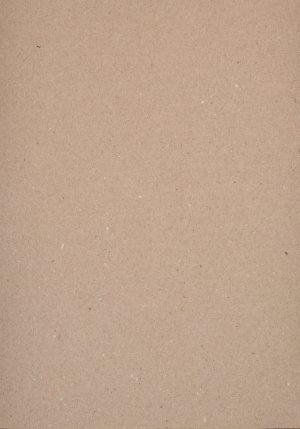 A4 220 g Karton 50-pakke Natur