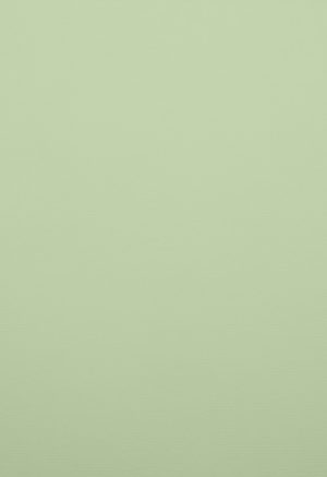 A4 220 g Karton 5-pakke Lime