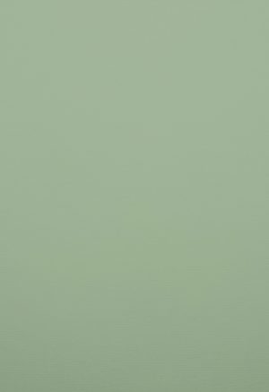 A4 220 g Karton 5-pakke Lys grøn