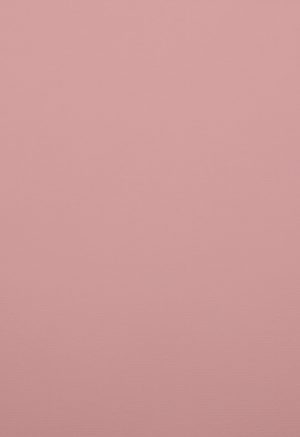 A4 220 g Karton 5-pakke Gammelrosa