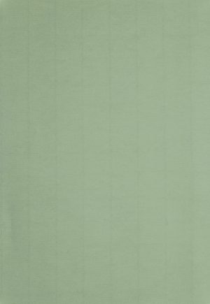 A4 110 g Brevpapir 10-pakke Lys grøn