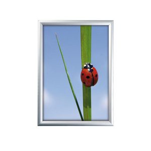 KLAPRAMME T/VÆG 50x70CM 25MM SØLV - SNAPRAMME