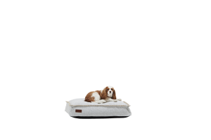 Dog bed Medium White