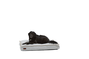 Dog bed Large White