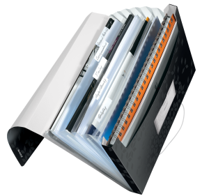 Projektmappe Leitz WOW PP