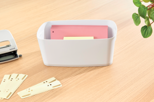 Leitz MyBox Small opbevaringsboks med låg