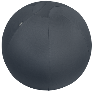 Leitz Ergo Cosy Active balancebold