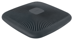 Leitz Ergo Active balancepude