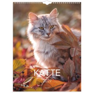 VÆGKALENDER KATTE 2027 VÆGKALENDER KATTE 2027