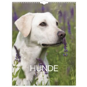 VÆGKALENDER HUNDE 2027 VÆGKALENDER HUNDE 2027
