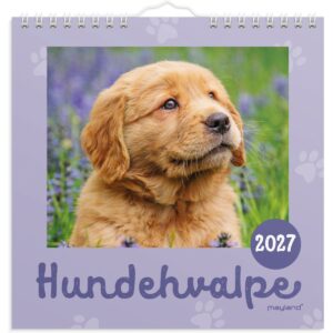 VÆGKALENDER MINI HUNDEHVALPE 2027 VÆGKALENDER MINI HUNDEHVALPE 2027
